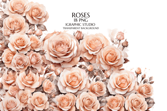 Beautiful Watercolor Rose Clipart for Elegant Wedding Designs